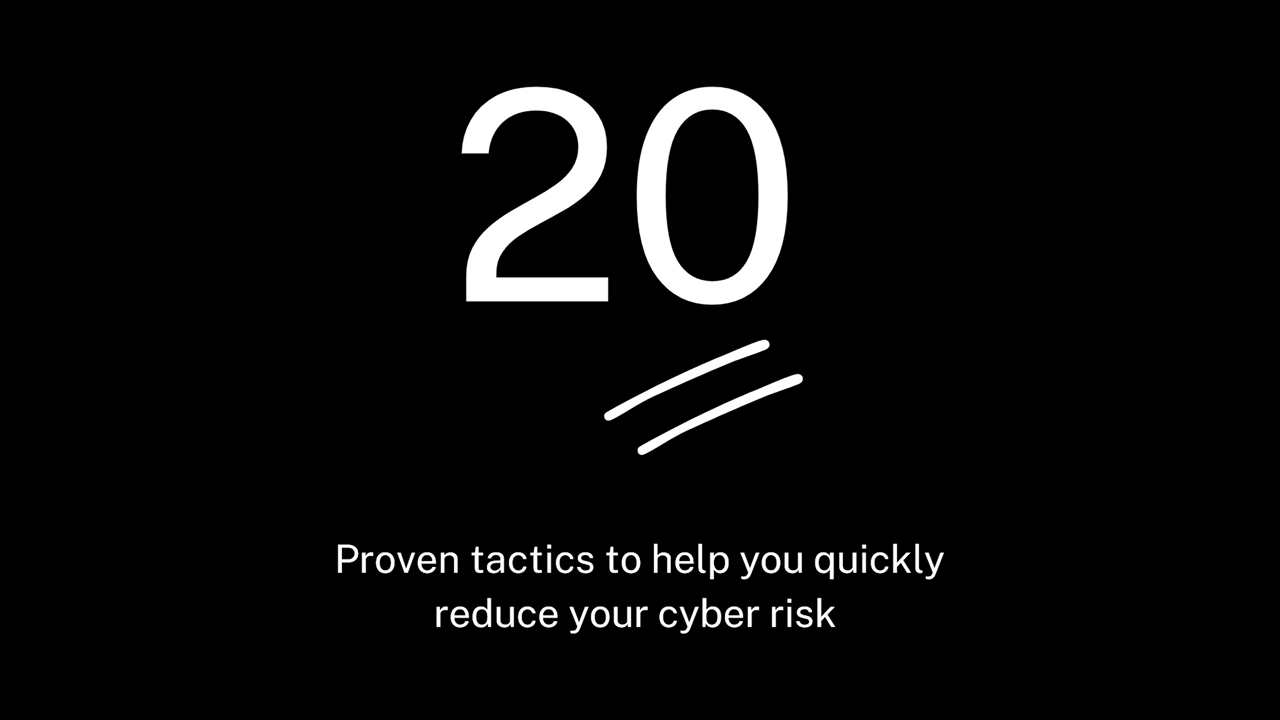 20 Proven Cyber Risk Tactics That Actually Work