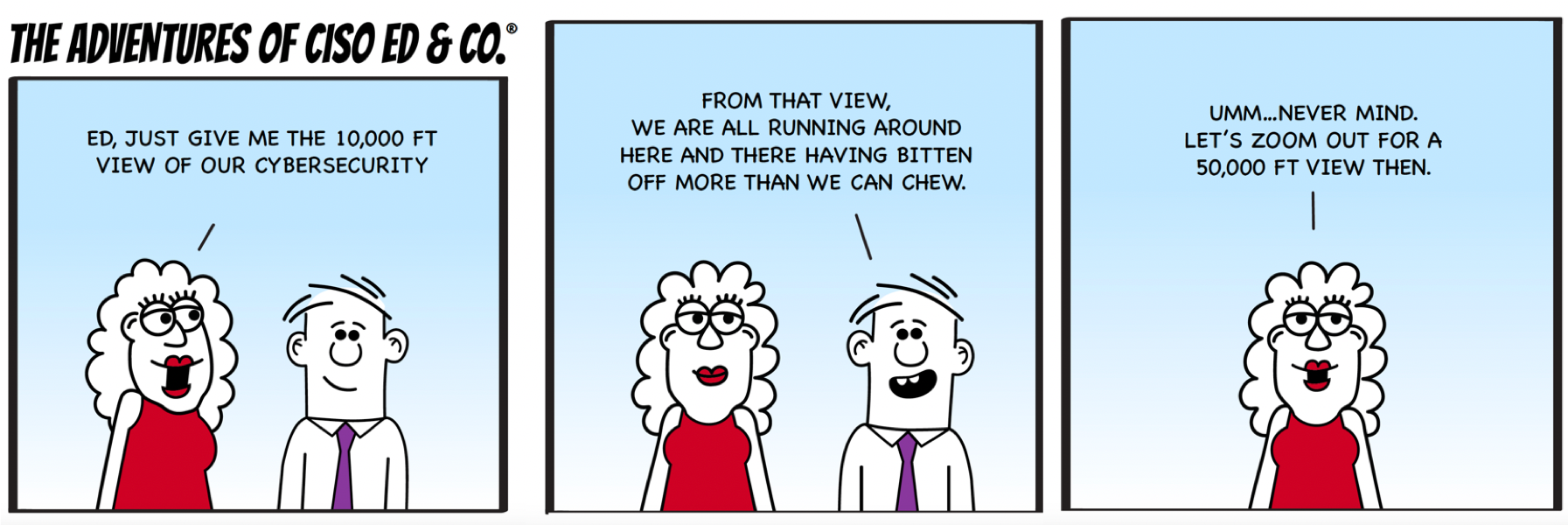 Adventures of CISO Ed & Co, 10,000 Ft View