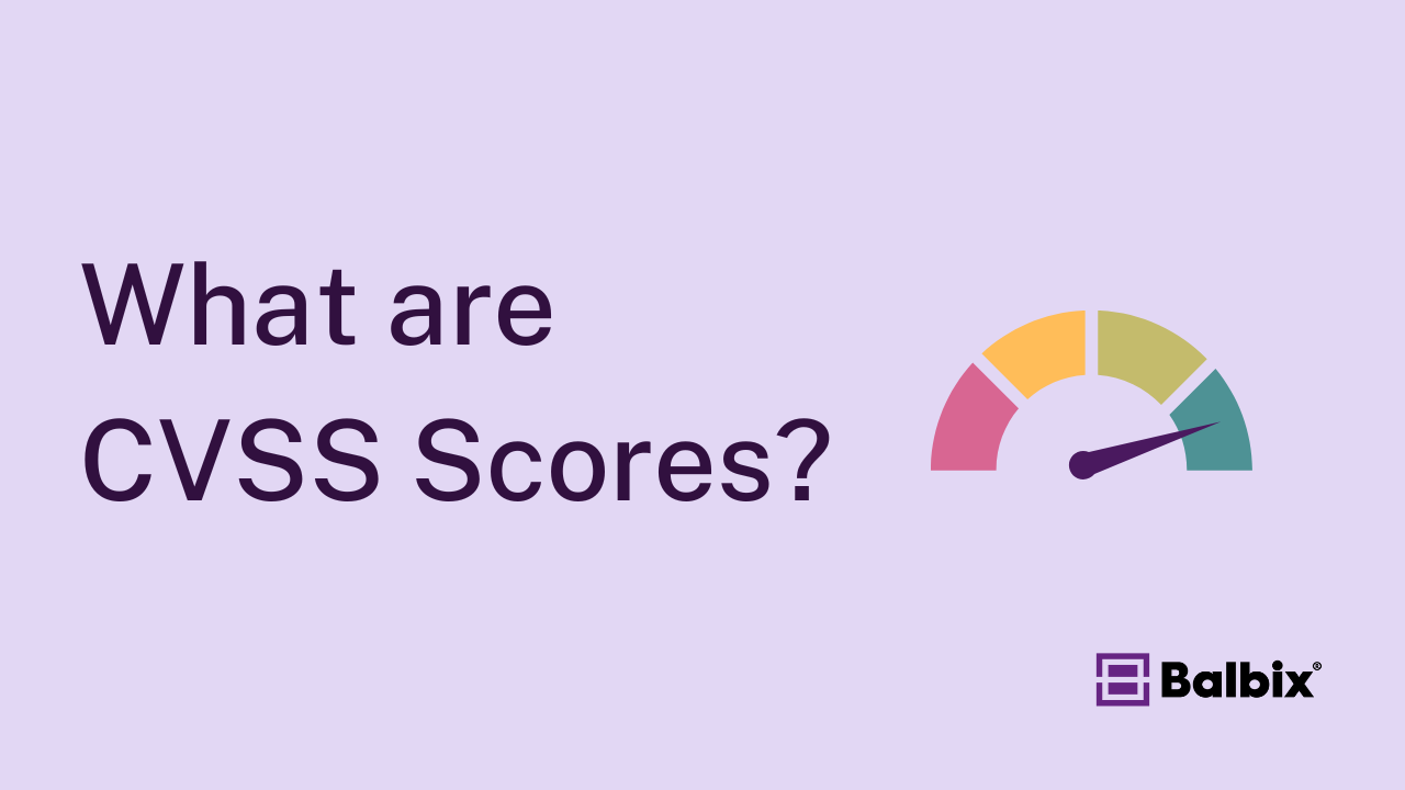 What are CVSS Scores